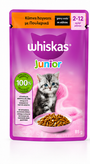 پوچ ویسکاس Whiskas