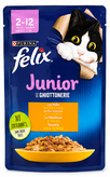 پوچ فلیکسFelix